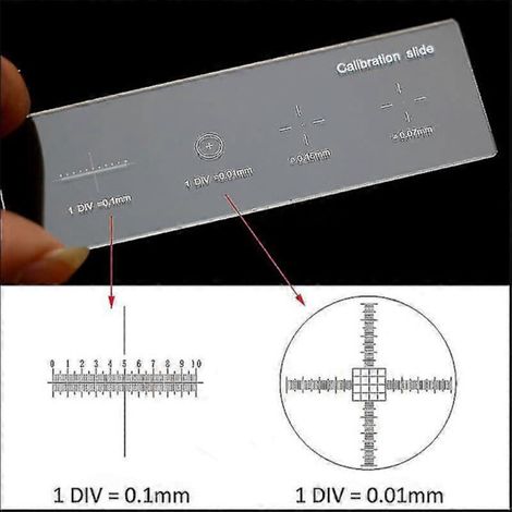Grille en verre pour microscope – Règle de calibration graduée 0,01 mm, réticule croisé et micromètre à paliers pour étalonnage précis