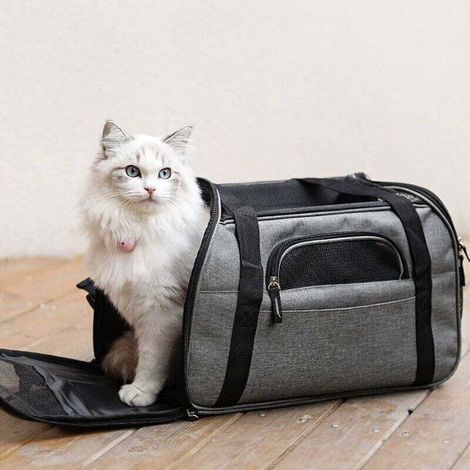 Sac Transport pour Chat/Petit Chien/Lapin, Panier Transport Cabine pour Petit Animal, Sac Porté Main/Bandoulière pour Voyage en Train/Voiture/Avion Homologué(Gris) (1/5)