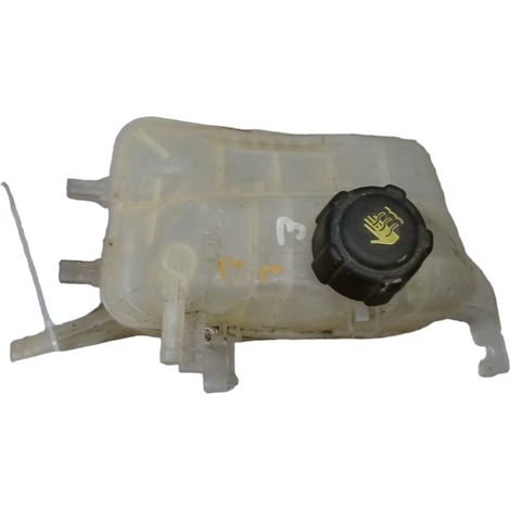 Vase Expansion RENAULT Scenic III 2009- [PRODUIT D'OCCASION]♻️217100005r (1/3)
