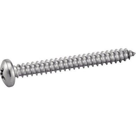 Vis à tole tête cylindrique large phillips - Inox A2 4,8x19 mm - Boîte de 200 (1/3)