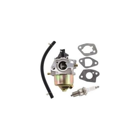 Carburateur avec joint et tuyau d'essence pour MTD Thorx 35 45 55 Güde Budget Fleurelle Einhell Variolux 1P61 1P65 1P70 (1/4)