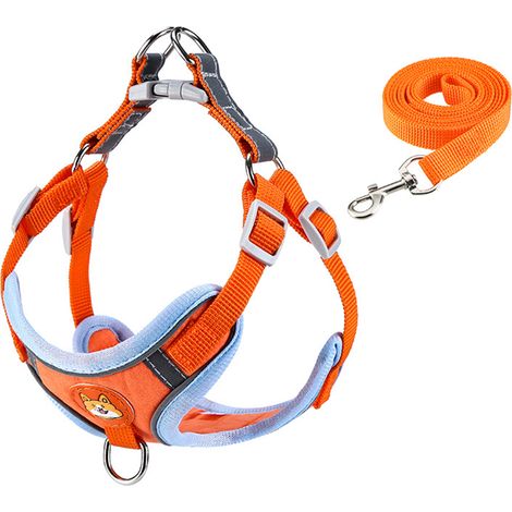 Hundegeschirr mit Leine, Reflektorstreifen, atmungsaktiv, komfortabel und verstellbar, ideal für Spaziergänge und Ausflüge. Orange, Größe L. (1/5)