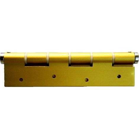 justor bisagra 58 oro simple accion juego de 2 unidades 5814.02