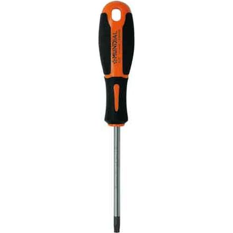 EMBOUT TOURNEVIS TORX MUNDIAL TX 20x100