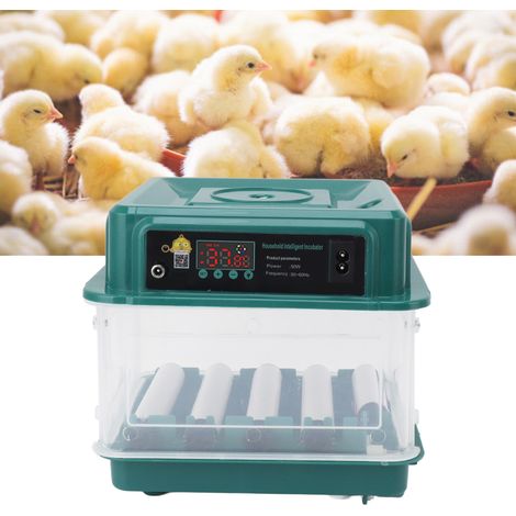 Incubateur intelligent entièrement automatique pour poussins, canetons et oies petit incubateur domestique incubateur pour pigeons et perroquets incubateur 10 œufs 220 V aux normes européennes. (1/5)