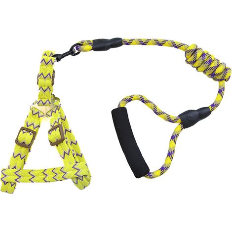 Colliers, harnais et laisses pour chiens de petite et grande taille (Jaune 1,0 x 120 cm) (1/2)