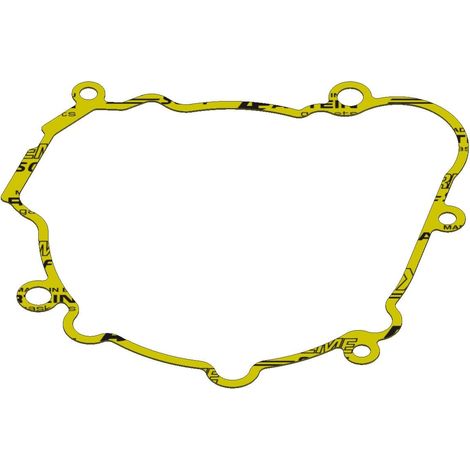 Guarnizione alternatore Beta RR/Xtrainer 250/300 (2013-2024) Xradical