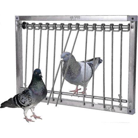 1 cage à oiseaux - Piège à pigeons en forme de U avec barreaux métalliques (39 cm L x 26 cm l) jn (1/5)