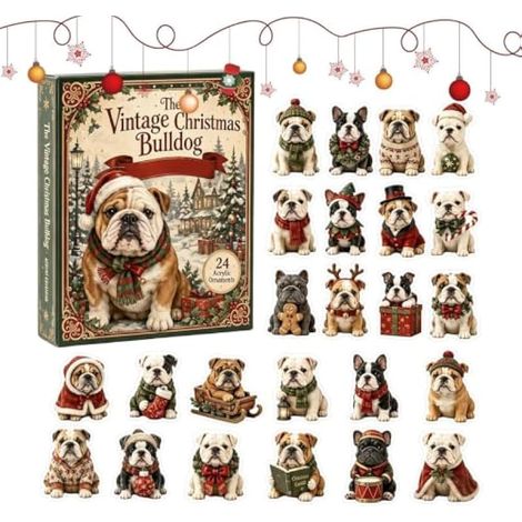 Calendrier de l'Avent Ornement Chien 24 Pièces d'Ornements Plats Rétro en (1/5)