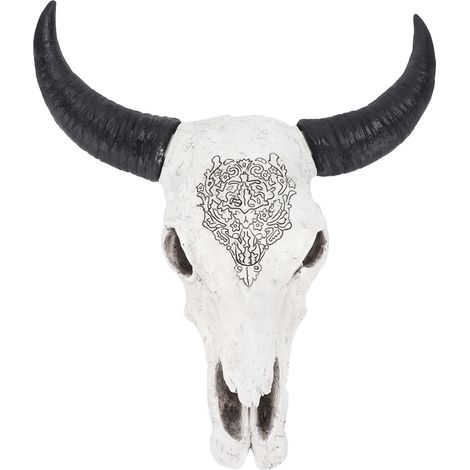 Crâne de taureau Longhorn décoratif mural, poli et peint à la main, surface ferme, décoration d’ambiance pour fond. (1/5)