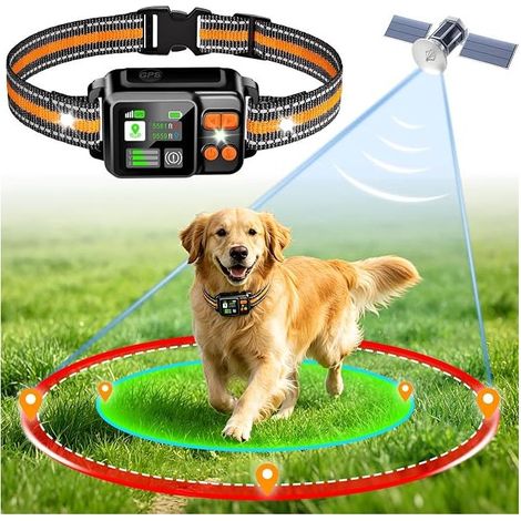Dog Collar - 15 - 2000 m (1/3)