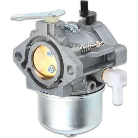 Carburateur Compatible Moteur Briggs Stratton 690119 694526 192437 192452 (1/5)