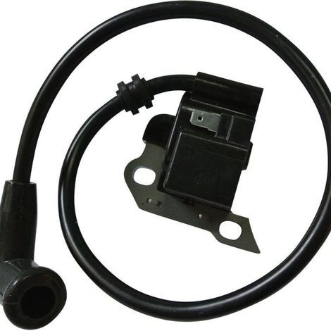 Bobine d'allumage pour souffleur à dos Stihl BR340 BR340 L BR380 BR420 BR420 C SR340 SR420 avec bougie d'allumage. pièces de rechange 4203 400 1302 (1/5)