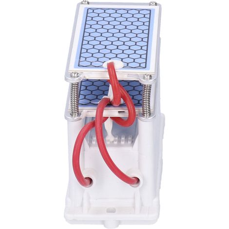 Générateur d'ozone 20 g/h 110 W, machine à décharge par brosse, purificateur d'air, alimentation industrielle 110 V CA (1/5)