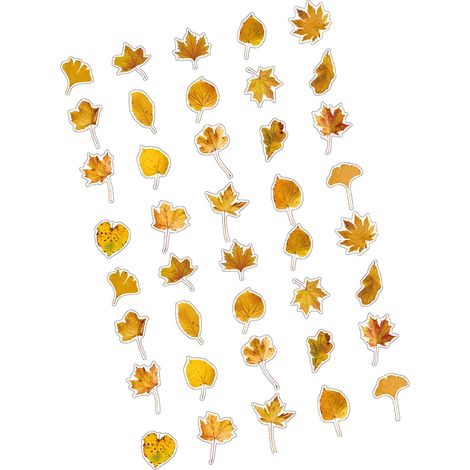 40 autocollants en PET sur le thème des feuilles, autocollants végétaux, guide de bricolage, autocollants sur le thème des plantes, feuilles dorées (1/5)