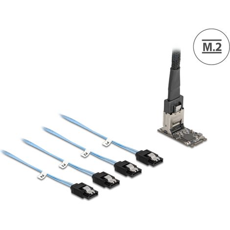 Delock M.2 2242 Key B+M Kontroller zu 4 x SATA mit 1 m Kabel