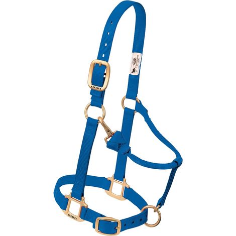 1 Licol Cheval Nylon Largeur 2,5cm Matériel Laiton Réglable Équitation (1/2)
