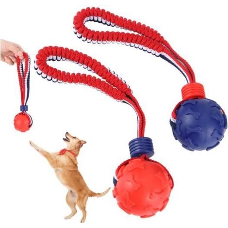 2 Pièces Balle sur Corde, Caoutchouc Naturel, ø 7/30 cm, Jouet pour Chien Balle avec Corde, pour Récupérer, Attraper, Lancer, fy (1/4)