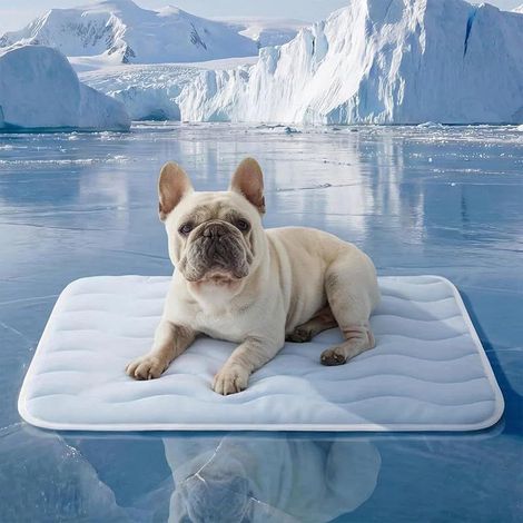 Tapis de cage respirant, fin et lavable, pour animaux de compagnie, 104 x 71 cm (1/5)