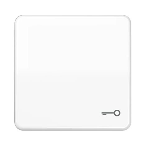 Jung Tecla 1 vez, símbolo de puerta, Duroplast, Serie CD, blanco alpino CD 590 T WW