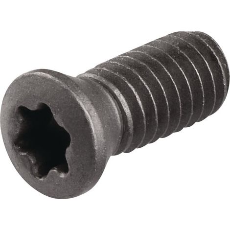 Tornillo de tensión WS0410 T15 TECWERK (1/2)