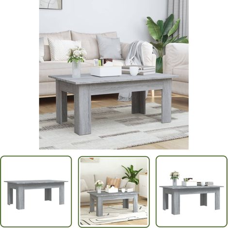 Maison Exclusive Couchtisch Grau Sonoma 100x60x42 cm (1/5)