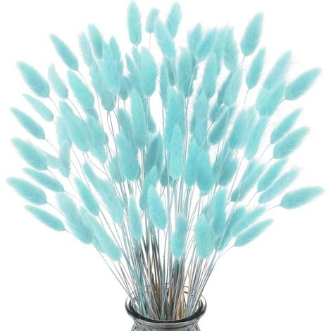 Bardusch-60 pampas naturelles bleu tiffany de 50-60 cm, herbe de queue de lapin pour déco bohème maison (1/5)