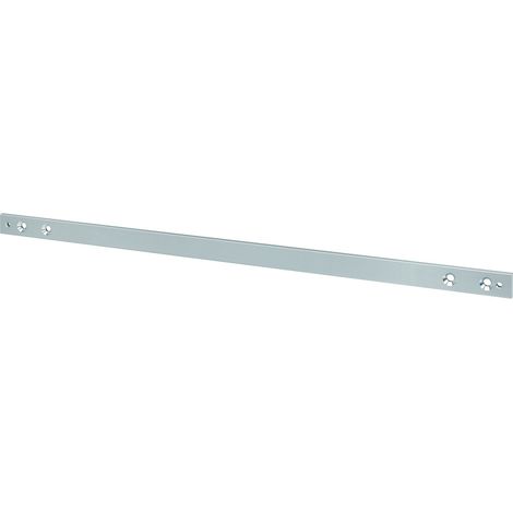 Piastra di montaggio A133 per DCG 193/195, argento EV1