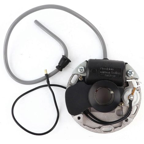 Bobine d'allumage de rechange pour tronçonneuse MS070/080 (pièce en métal) (1/4)
