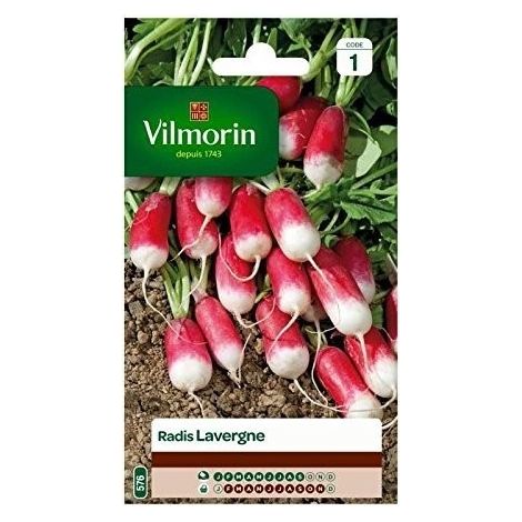 Vilmorin - Radis Pernot Lavergne