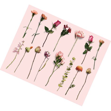 30 Vintage-Pflanzenaufkleber mit Blumen und Blättern – Retro-Blumenaufkleber für Laptop, Scrapbooking, Journal, Planer und Kartenherstellung. Rosy and Tender (1/5)