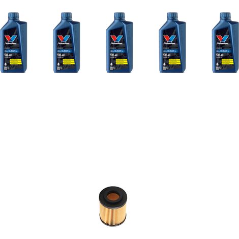 Kit filtro olio e 5L compatibile con Opel Meriva A 1.7 CDTI 74kw Dal 2003 al 2010 (1/2)