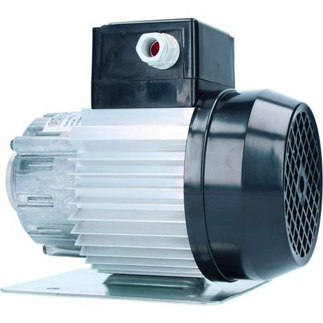 Ersatzteil Motor für Drehschieberpumpe