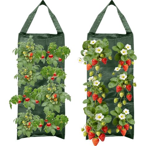 2 Pièces Sacs à Plantes, Sac Fraise, Sac de Plantation, Sac de Culture à Fraises Suspendu, 8 Trous Respirant Sac Fraise Suspension Verticale pour Fraises, Tomates (Vert) (1/5)