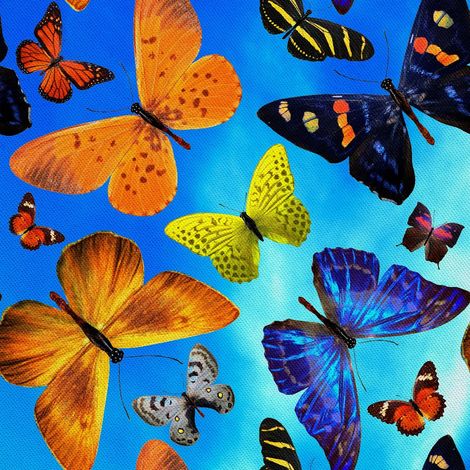 Tela decorativa para exteriores tipo oxford - motivo de mariposas coloridas sobre fondo azul I DX572 (1/5)