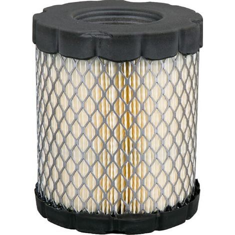 Filtre à air BRIGGS ET STRATTON 4250 (1/2)