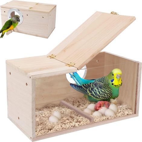 1 Nichoir Pour Oiseaux En Bois Et Acrylique Transparent Avec Couvercle À Charnière Pour Perruches Et Moineaux (1/5)