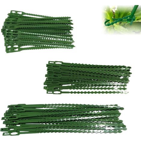 Lot de 160 attaches réglables pour plantes - Vert - Pour support de plantes - Fixation de branches pour plantes en pot et arbustes (1/5)