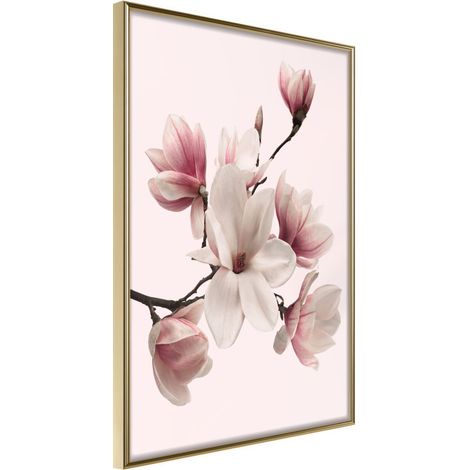 Affiche Murale Encadrée "Blooming Magnolias I" 21 x 30 cm Or