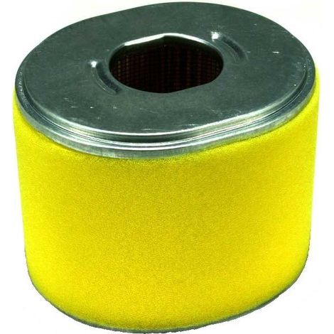 Filtro aria motore motocoltivatore motopompa LT390 LAUNTOP 310137