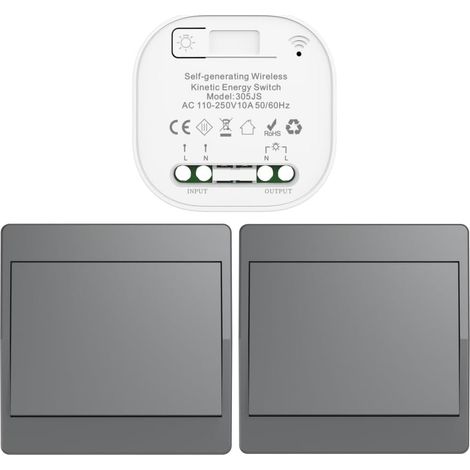 gris Kit d'interrupteur cinétique sans fil auto-alimenté interrupteurs de lumière télécommandés RF interrupteur cinétique sans fil sans pile interrupteurs radio sans fil (Gray 1Gang 2V1 EU) (1/5)