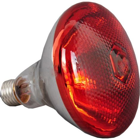 Lámpara de calor infrarroja impermeable de 250 W, a prueba de explosiones, con bombillas gruesas para lechones, pollos y patos. (1/5)
