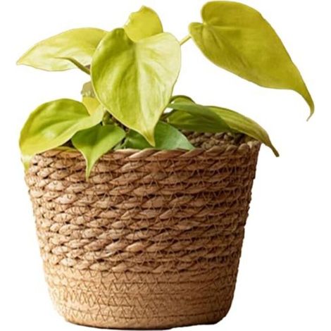 Pflanzkorb aus natürlichem Rattan mit wasserdichter Auskleidung – Dekorativer Indoor-Topf 15 x 11 cm für Pflanzen oder Kräuter