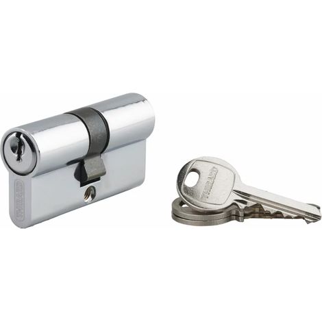 Cilindro de cerradura niquelado con llave dentada Ecopro - 30 x 30 - Variado - THIRARD - 00007258 (1/2)