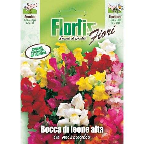 Flortis Semi di Fiori Bocca Di Leone Mix - Pronti per Semina