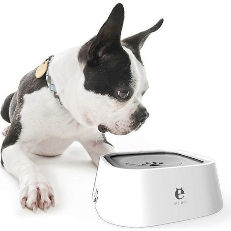 Gamelle pour chien en plastique avec distributeur d'eau, capacité de 1,5 litre, résistante et adaptée à la vaisselle. (1/4)