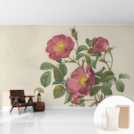 Tapete Vliestapete mit Kleber - abwaschbar - Arbeitszimmer - Esszimmer- Top Qualität Rosenmotiv 416x254 cm (1/5)