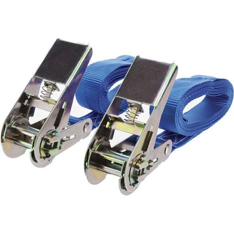 Set mit 2 Ratschen-Zurrgurten, Tragkraft 500 kg – 2,5 m x 25 mm (1/5)