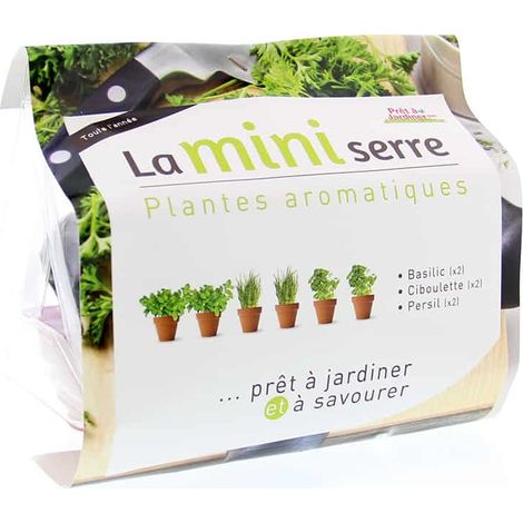 Mini serre herbes aromatiques (1/3)