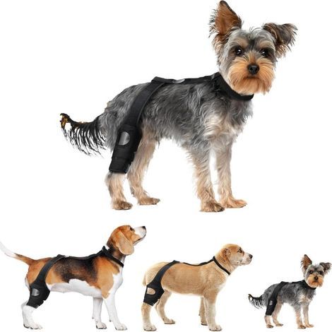 Knie- und Hüftorthese für Hunde, Unterstützung des vorderen Kreuzbandes und Patellaluxation (kleine Größe) (1/5)